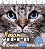 Postkartenkalender Katzenweisheiten 2027