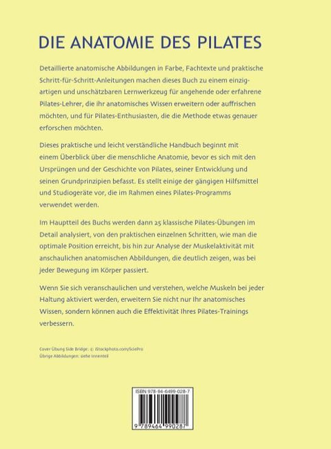 Die Anatomie des Pilates
