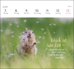 Postkartenkalender 2027: Kleine Glücksbringer für dein Jahr