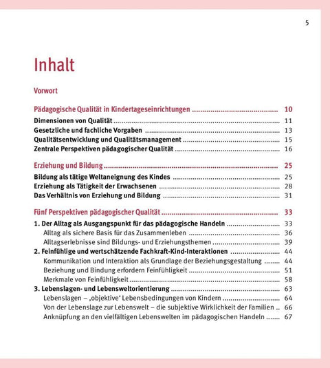 Pädagogische Qualität in der Kita. Reflexionsfragen, Praxisbeispiele, Impulse für den pädagogischen Alltag