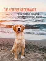Hunde sind die besten Freunde