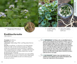 BASIC Früchte und Wildkräuter