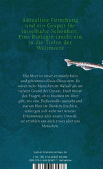 Wenn Haie leuchten (Innenansicht)