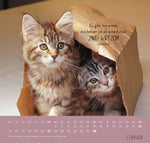 Wandkalender 2027: Für Katzenfreunde