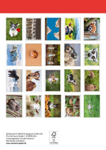 Postkartenblock Lustige Tiere