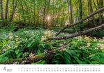 Die Pfalz 2027 Bildkalender A3 Spiralbindung