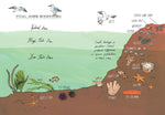 Ocean Anatomy (Innenansicht)