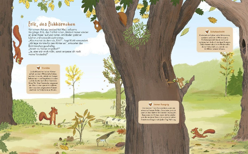 Matti und das Leben im Wald - Ein Marder zeigt dir sein Zuhause (Innenansicht)