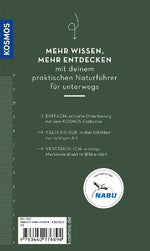 Basic Greifvögel und Eulen