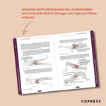 Psoas-Training (Innenansicht)