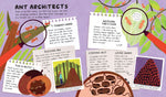 Misunderstood Minibeasts (2) - Ant Life (Innenansicht)