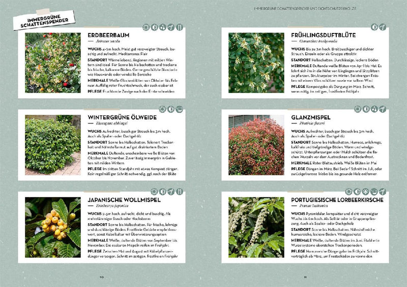 Pflanz dir Schatten! (Innenansicht)