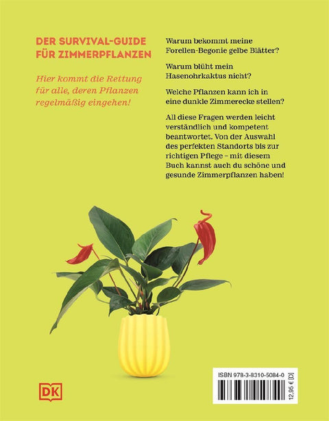 So überlebt deine Zimmerpflanze garantiert