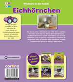 Eichhörnchen