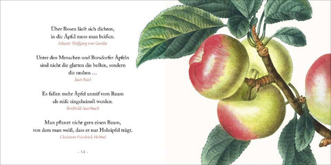 Weise gehen in den Garten