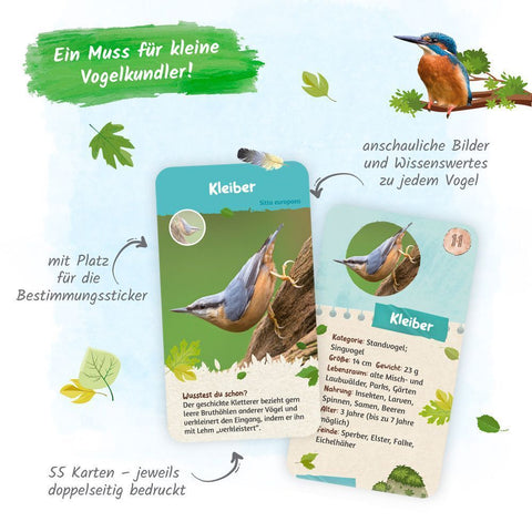Trötsch 55 Lernkarten Heimische Vögel