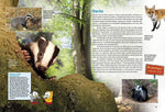 Entdecke heimische Wildtiere (Innenansicht)