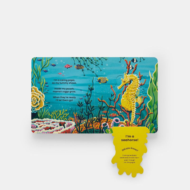 Who's Hiding Under the Sea? (Innenansicht)