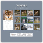 Wolves - Wölfe 2027 - 16-Monatskalender