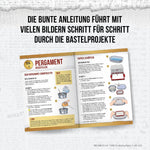 Harry Potter - Brief & Siegel