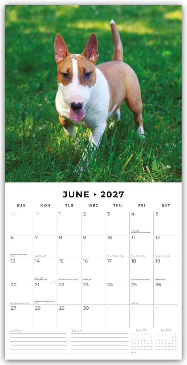 Bull Terriers - Bullterrier 2027 - 16-Monatskalender (Innenansicht)