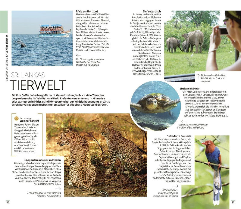 Vis-à-Vis Reiseführer Sri Lanka (Innenansicht)
