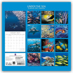 Under the Sea - Tropische Fische 2027 - 16-Monatskalender