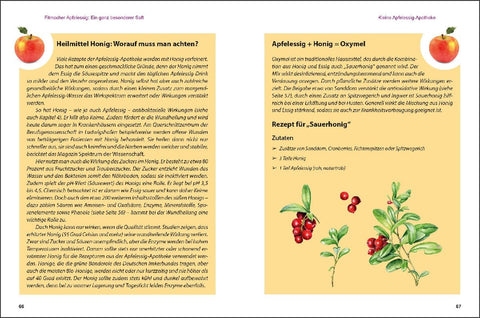 Apfelessig neu entdeckt - Der Alleskönner und seine unbegrenzten Verwendungsmöglichkeiten. Küchenwunder, Beauty-Mittel, Gesundheits-Elixier