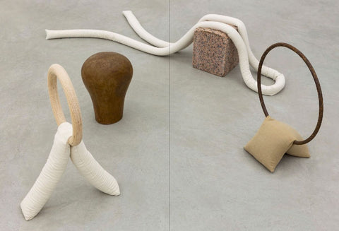 Performing Matters, flesh hues, skeletal forms