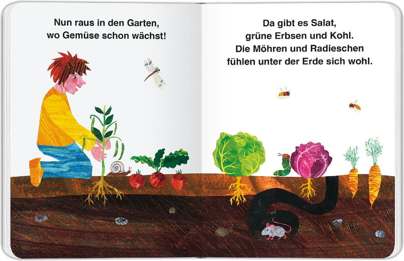 Die kleine Raupe Nimmersatt - Frühling (Innenansicht)