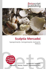 Scalptia Mercadoi