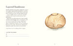 The Pebble Spotter's Guide (Innenansicht)