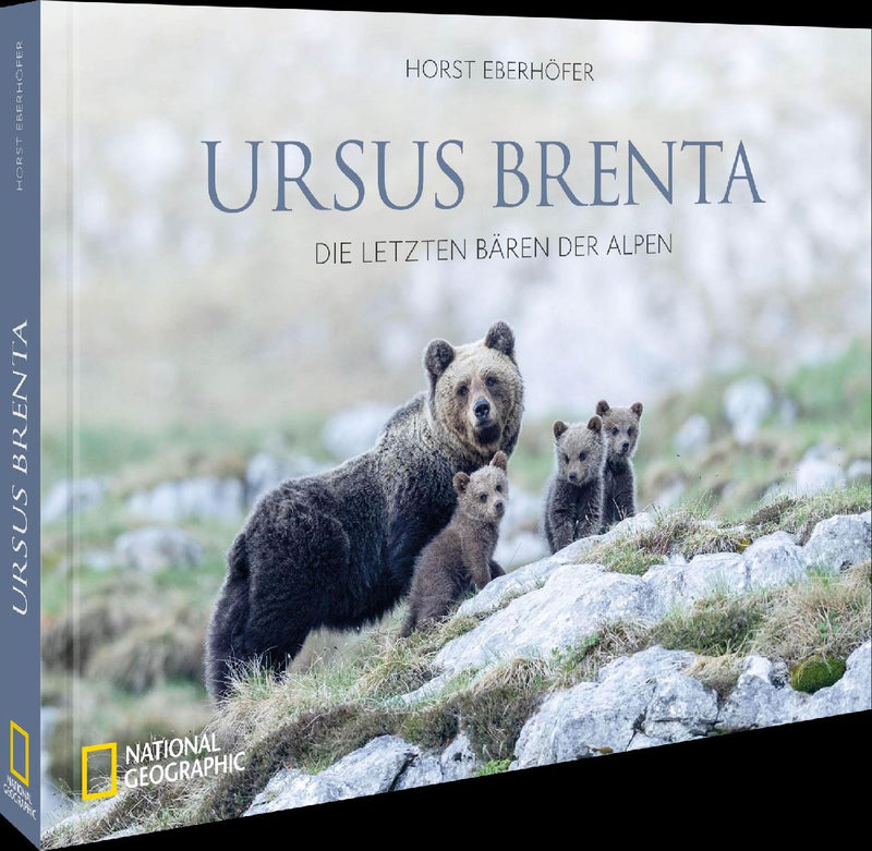 Ursus Brenta - Die Rückkehr der Bären in die Alpen