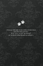 After I met you (Innenansicht)