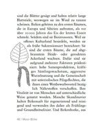 Zeit für Bäume