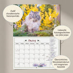 DuMonts Katzen Kalender 2027