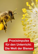 Themenheft Bienen (Innenansicht)