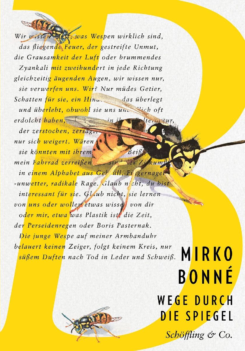 Wege durch die Spiegel