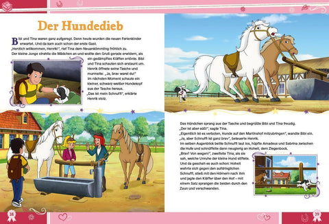Bibi & Tina: Das große Jubiläumsbuch