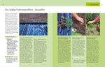 Pflegeleichter Garten (Innenansicht)