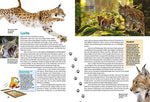 Entdecke heimische Wildtiere (Innenansicht)