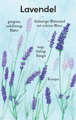 Natur-Entdecker-Karten: Unsere heimischen Blumen