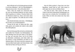 Die Hufeisen-Ranch - Ponyglück mit Hindernissen (Innenansicht)