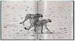 Peter Beard