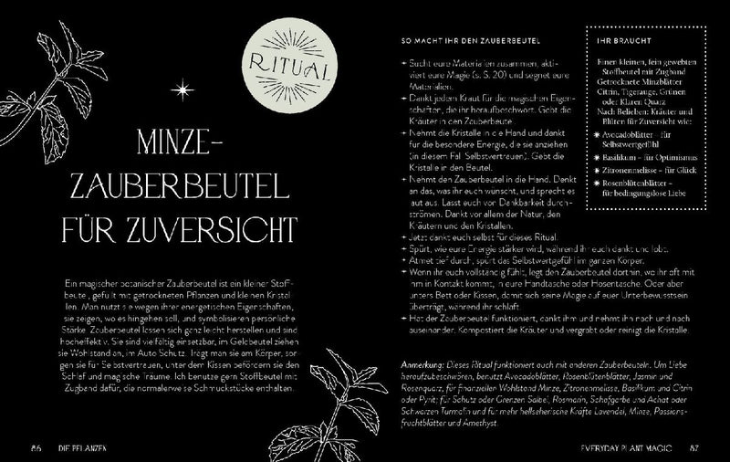 Everyday Plant Magic (Innenansicht)