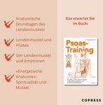 Psoas-Training (Innenansicht)