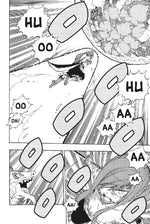 Fairy Tail Massiv 21