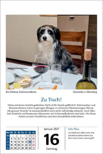 Hunde Tageskalender 2027 (Innenansicht)