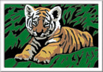 Malen nach Zahlen Süßer Tiger