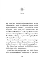 Das Geheimnis von Nox 3: Freunde, Feuer - Ungeheuer! (Innenansicht)